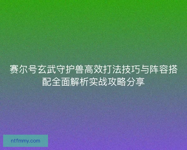 赛尔号玄武守护兽高效打法技巧与阵容搭配全面解析实战攻略分享
